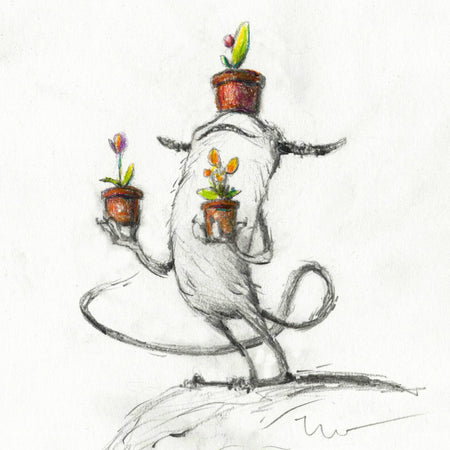 FIGGS AND FLOWERS