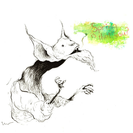 THE SPRING SEEKER