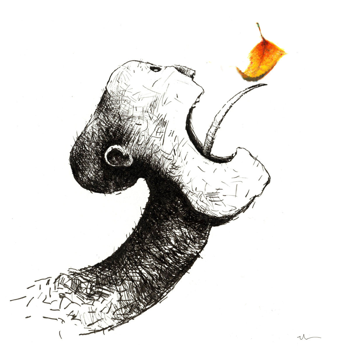 TASTES LIKE FALL (BR-19)