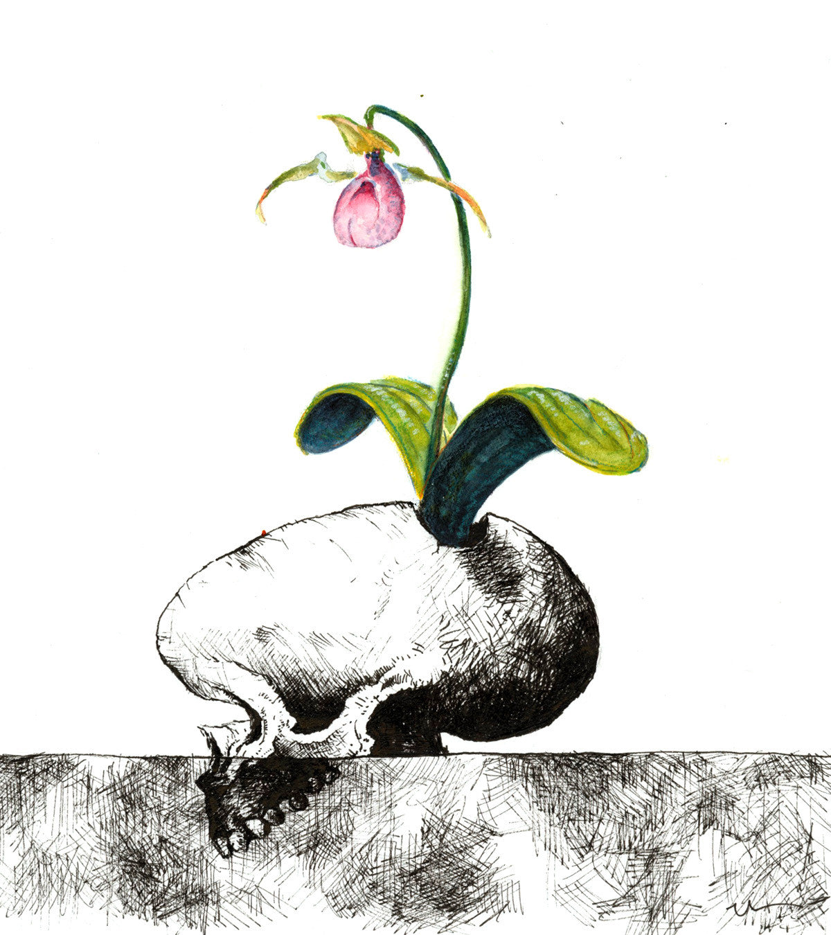 THOUGHTS OF SPRING (BR-23)