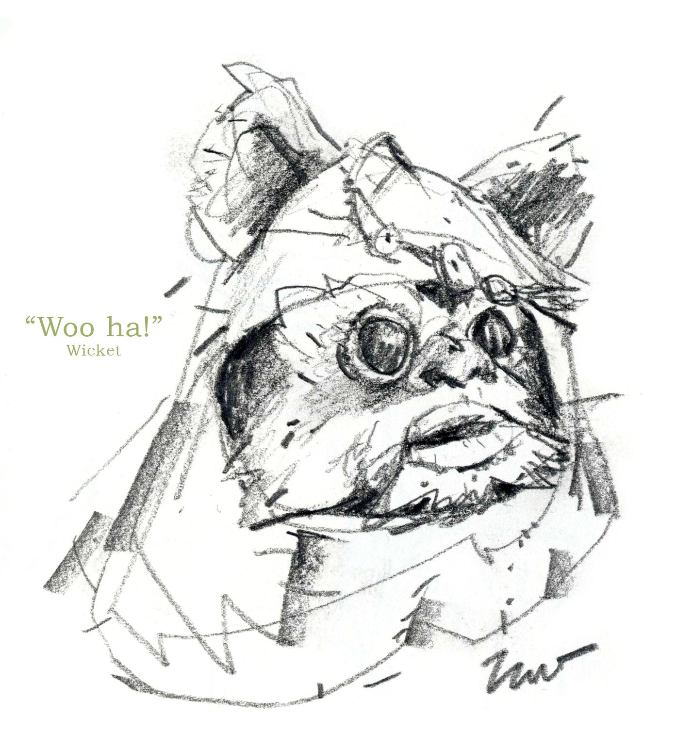 WICKET'S FLOATING HEAD