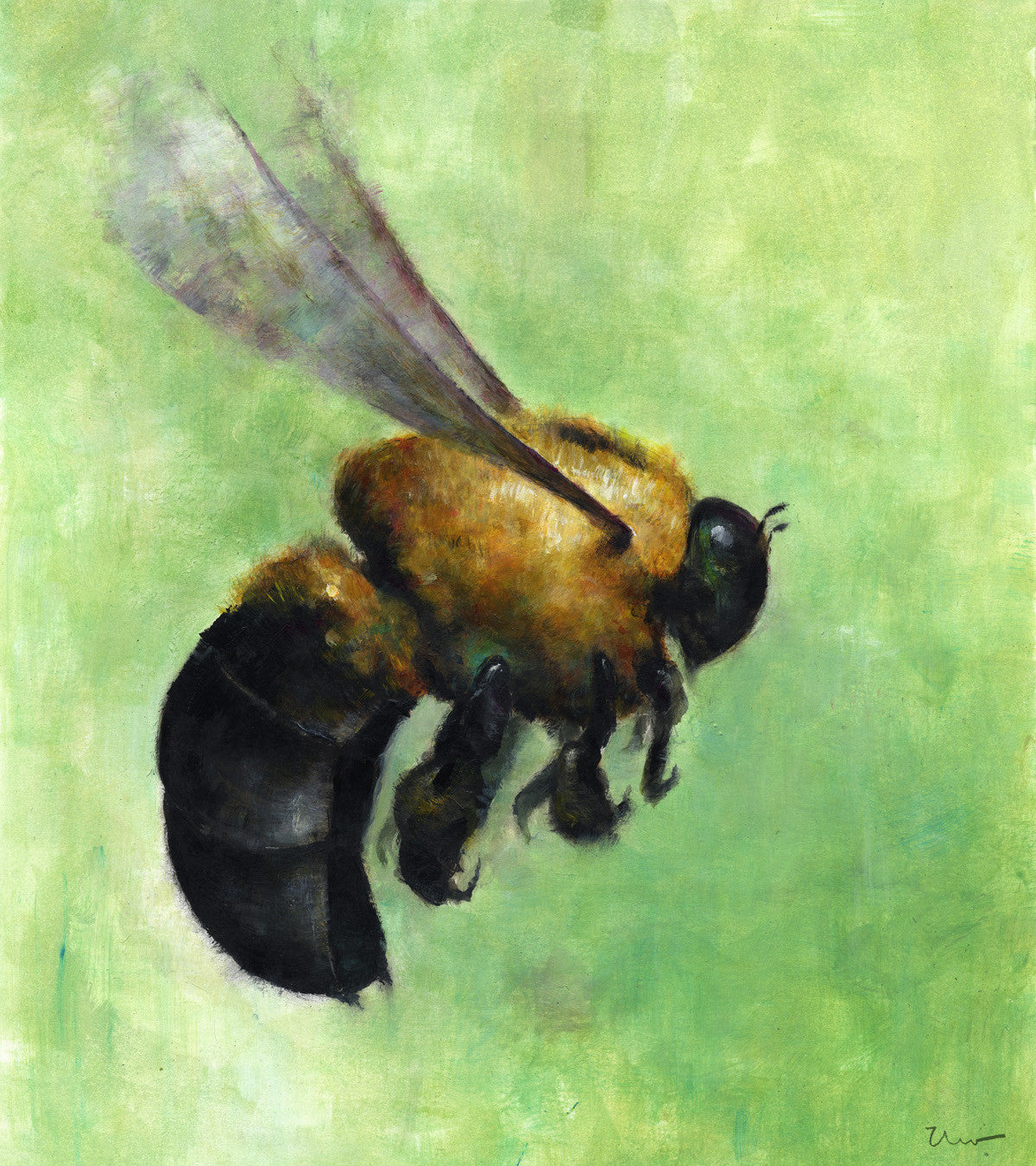 POLLEN PICKER (BR-82)