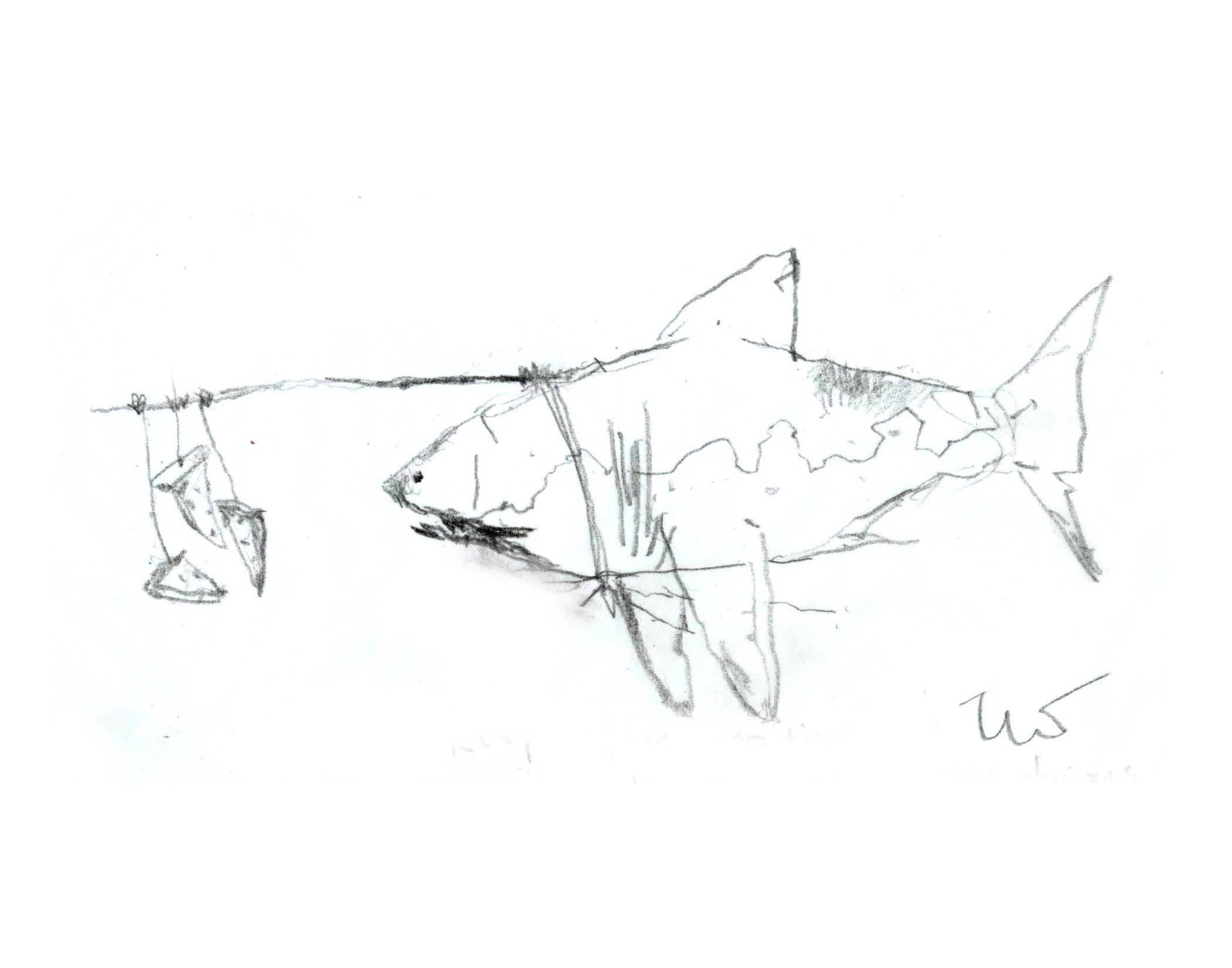 GREAT WHITE SLICE (BR-028)