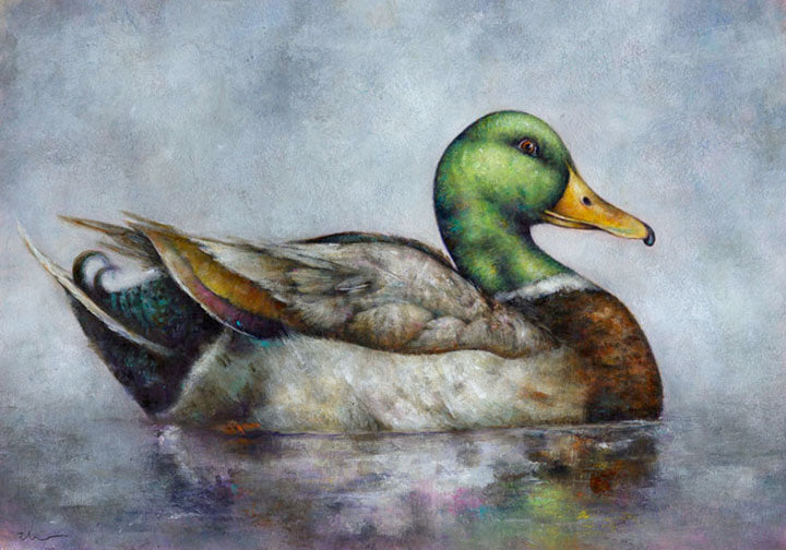 EARLY MORNING MALLARD (BR-98)