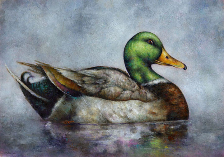 EARLY MORNING MALLARD