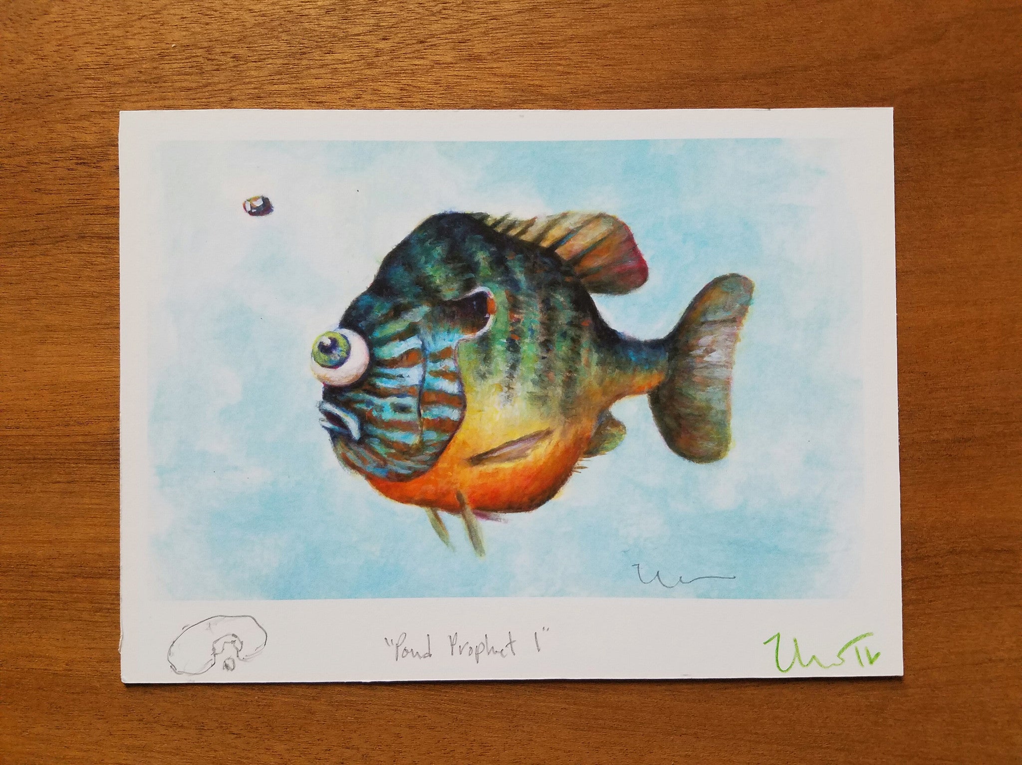 POND PROPHET 1 MP (framed)