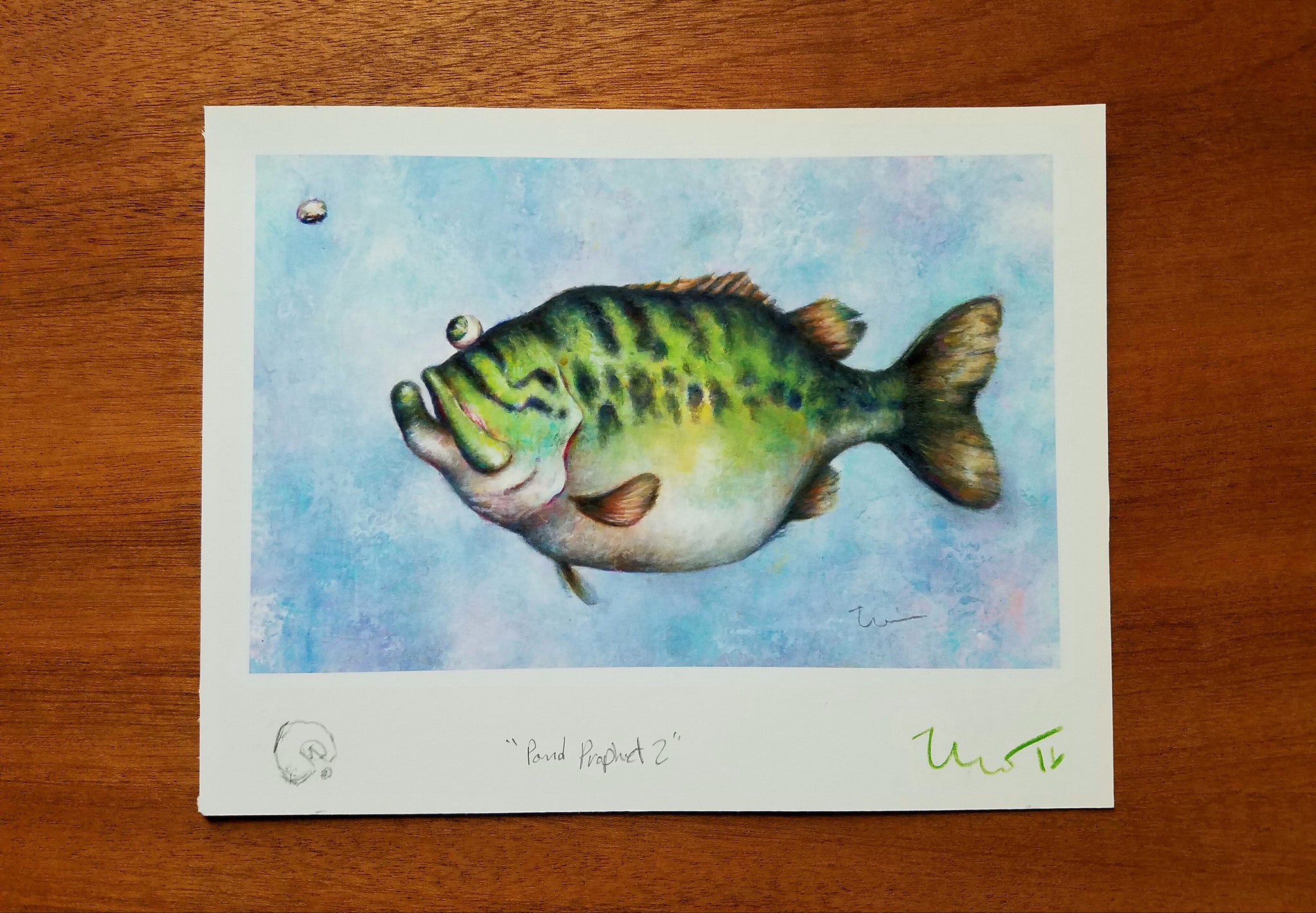 POND PROPHET 2 MP (framed)