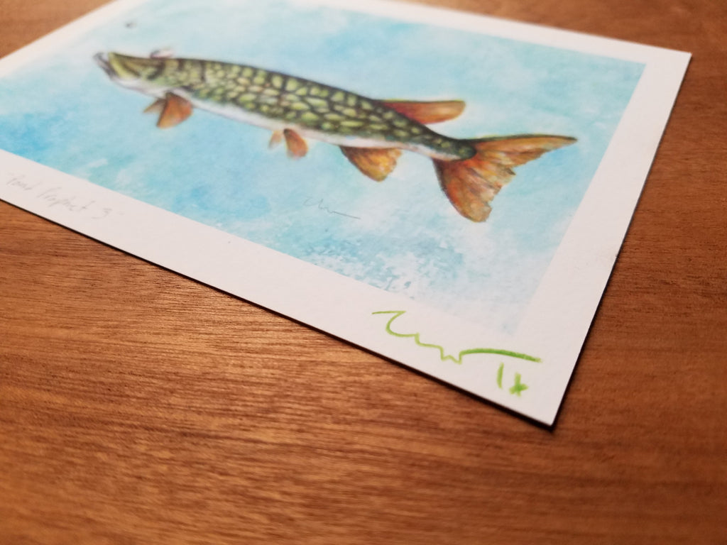 POND PROPHET 3 MP (framed)