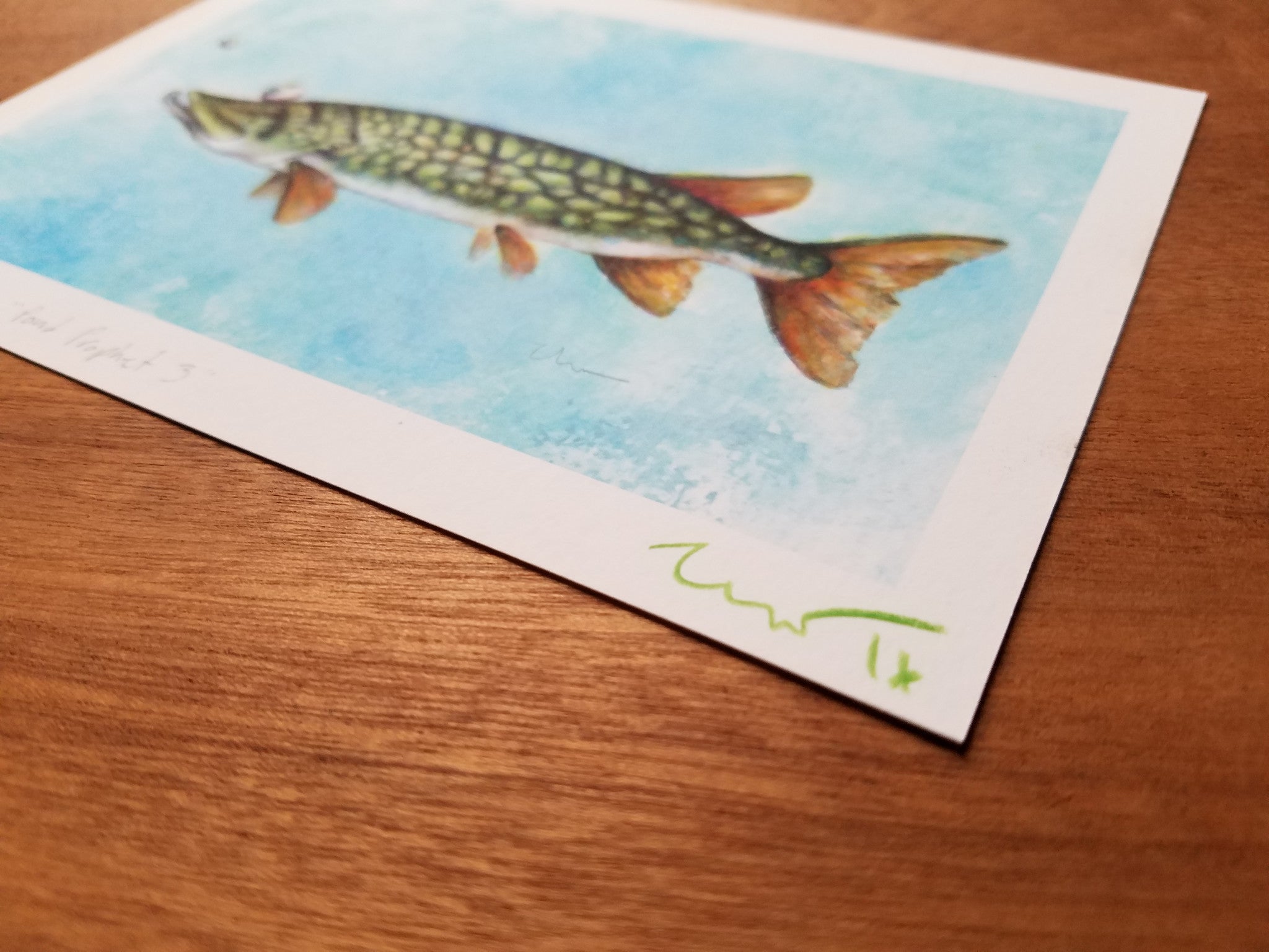 POND PROPHET 3 MP (framed)