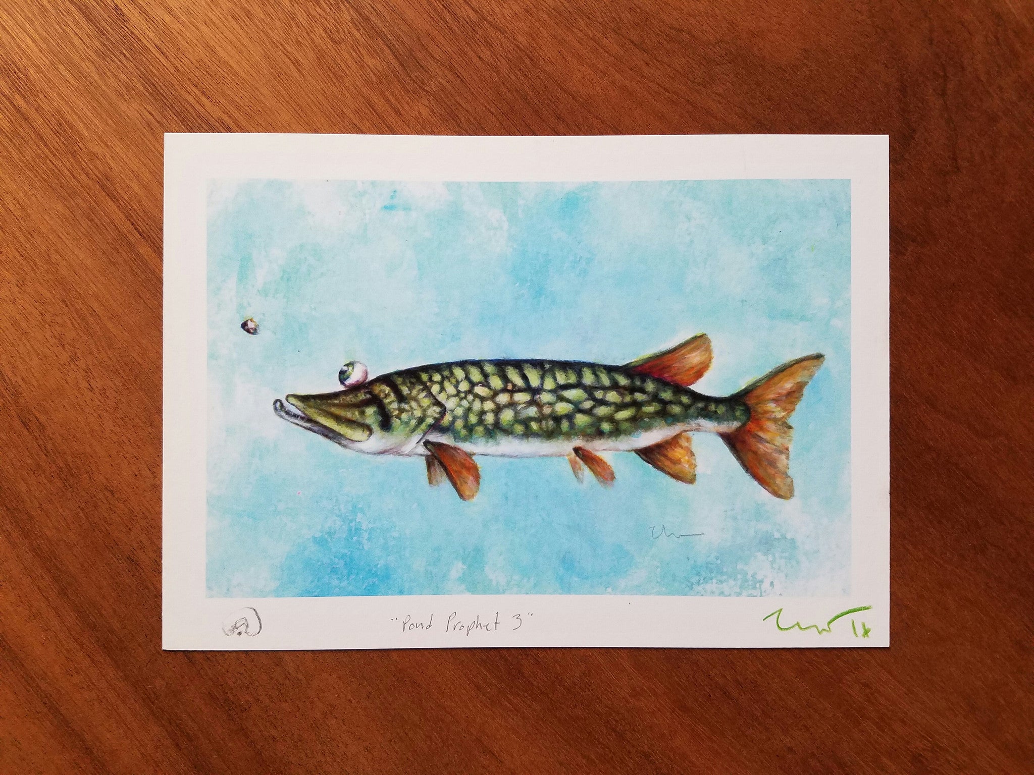 POND PROPHET 3 MP (framed)