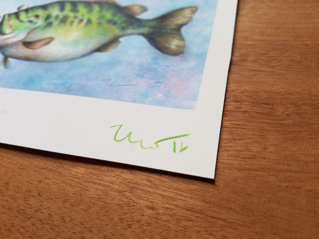 POND PROPHET 2 MP (framed)