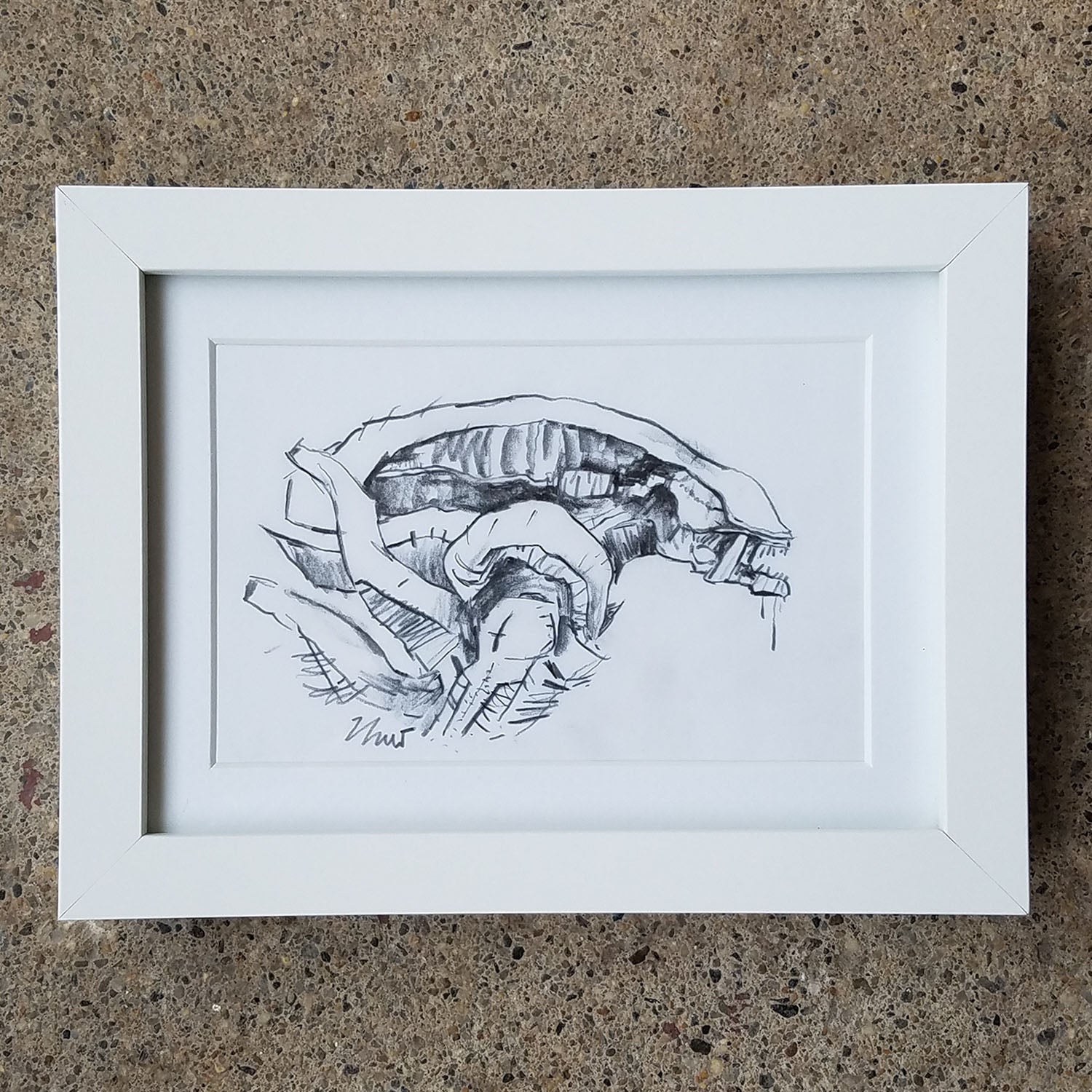 XENOMORPH SKETCH (framed)