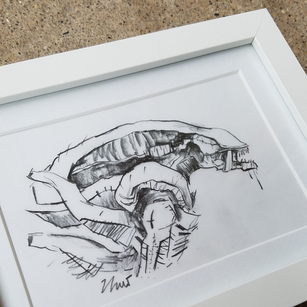XENOMORPH SKETCH (framed)