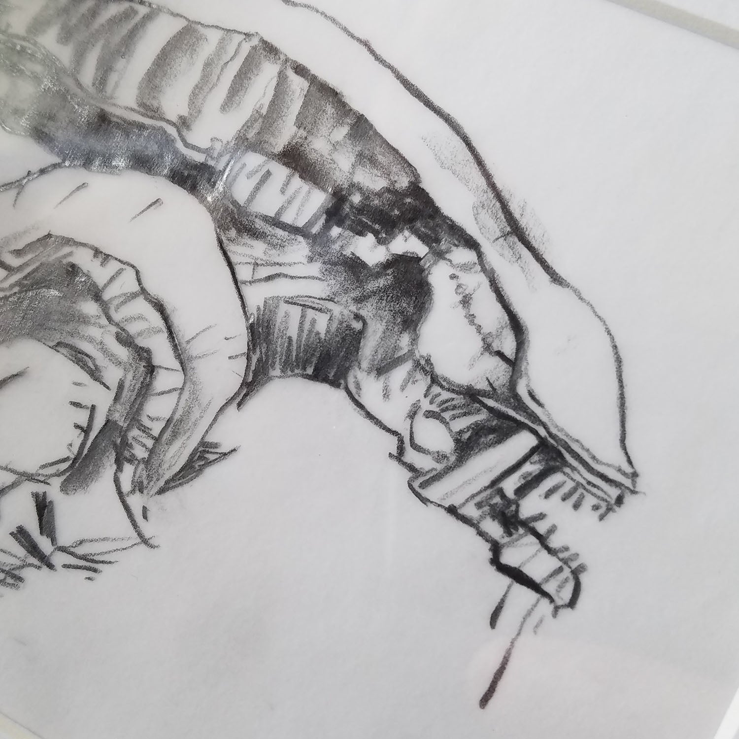 XENOMORPH SKETCH (framed)